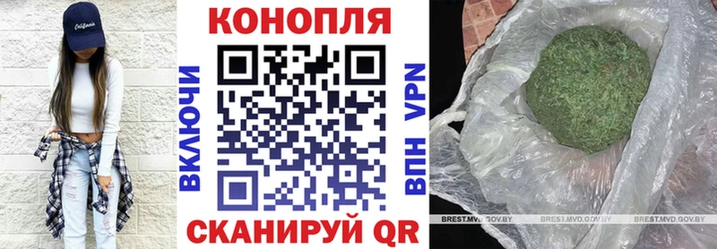 Бошки Шишки план  дарнет шоп  Палласовка 